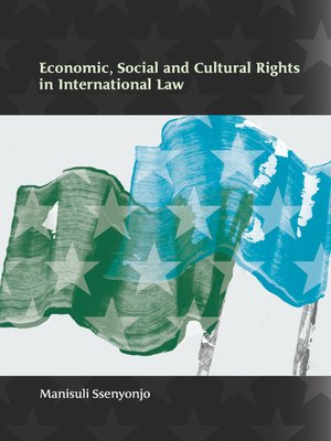 cover image of Economic, Social and Cultural Rights in International Law
